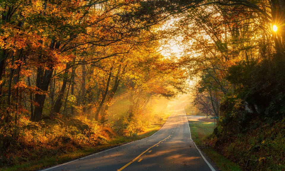 Road in Autumn